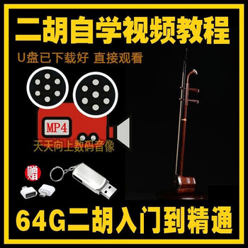 二胡演奏教学型号规格- 京东