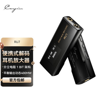 CAYINMINI-1价格报价行情- 京东