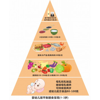 膳食宝塔食物模型中国居民平衡膳食宝塔营养指导食物交换份教学模型