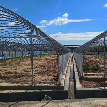 君吻种植养殖大棚骨架养鸡牛羊养殖大棚椭圆管热浸锌水产连栋大棚 6米