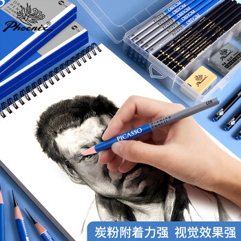 【全网低价】凤凰画材(Phoenix)  10B铅笔12支装 素描绘画绘图考试铅笔 学生初学者艺考画画专用PicDP12美术写生