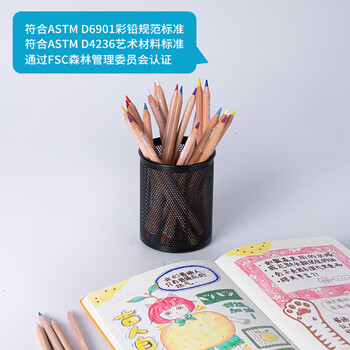 凯兰帝（CARANdACHE）瑞士卡达油性彩色铅笔6901系列大师收藏级12色纸盒装6901712美术写生毕业礼物