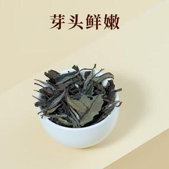 如雀金罐政和白茶白牡丹50g 3年散茶罐装高山茶叶 围炉煮茶