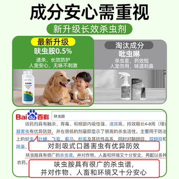 皎洁杀虫饵剂室内外灭杀驱蟑螂跳蚤臭虫蜈蚣药一窝全窝防治端500g