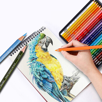 霹雳马（PRISMACOLOR）彩色铅笔彩铅笔36色油性大师级画笔套装绘画艺术写生手绘美国三福霹雳马