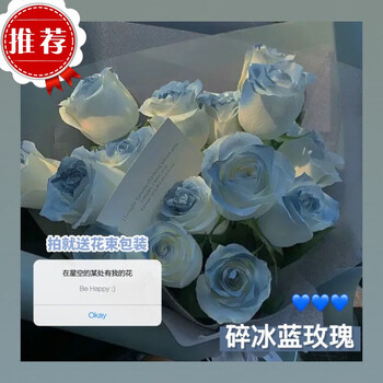 碎冰蓝玫瑰花新娘手捧花仿真永生花假花爱人七夕礼物家居摆拍花束碎冰蓝色玫瑰1支装 收藏店铺麻绳 袋子 图片价格品牌报价 京东