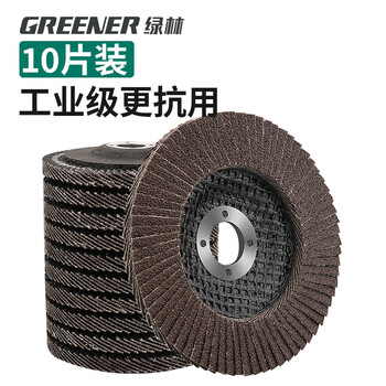 绿林（GREENER）百叶片80目10片100*16角磨机砂轮片抛光打磨片角磨片