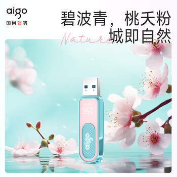 爱国者(aigo)256GB Type-C USB3.2青春款U盘 U352高速两用双接口手机电脑两用优盘 读速220MB/s 学生毕业礼物 爱国者(aigo)256GB Type-C USB3.2青春款U盘 U352高速两用双接口手机电脑两用优盘 读速220MB/s 学生毕业礼物