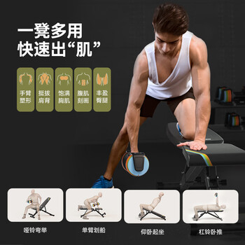 HEAD海德哑铃凳卧推凳仰卧起坐腹肌板健身椅飞鸟凳健身器材家用轻商用