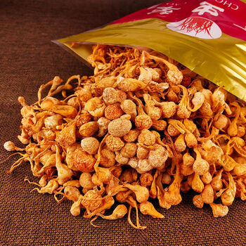 仙餐特级特大孢子虫草花干货金蛹虫草北虫草金虫草新鲜无硫煲汤食材
