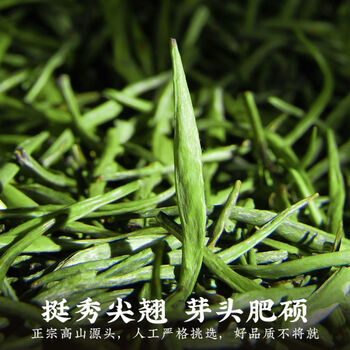 匠界茶叶新茶明前特级贵州雀舌绿茶嫩芽春茶礼盒罐装250g礼盒送礼