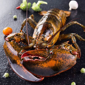 波士顿龙虾 400g【图片 价格 品牌 报价】-京东