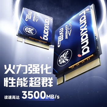 梵想（FANXIANG）500GB SSD固态硬盘 M.2接口NVMe协议PCIe3.0 2230小尺寸规格 电脑游戏机扩展硬盘S530Q
