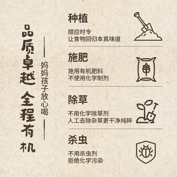 燕之坊100%有机核桃芝麻黑豆粉500g黑芝麻糊无糖无添加营养早餐代餐粉