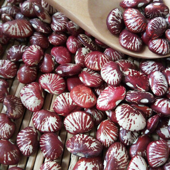 云舵云南斑马豆5斤农红花芸豆腰豆花豆饭豆扁豆大红豆花芸豆1斤斑精选
