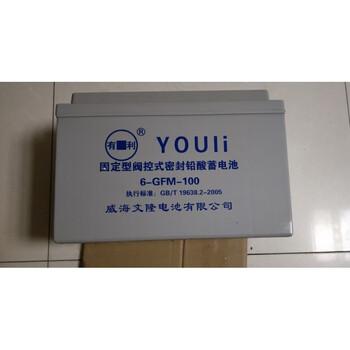 apc文隆有利蓄电池 6-gfm-100 12v100ah ups eps电源直流屏 铅酸电瓶