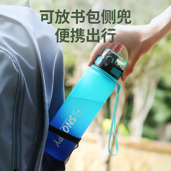 史努比（SNOOPY）儿童水杯夏季便携大容量耐摔防漏喝水杯男女小学生一键直饮杯子蓝