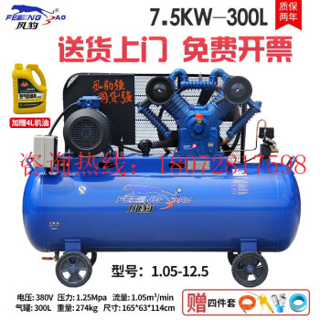 风豹工业级大型空压机气泵皮带式7.5KW-300L打气泵1.05-12.5汽修带风炮补胎浙江盛源 1.05-12.5【7.5KW-300L】