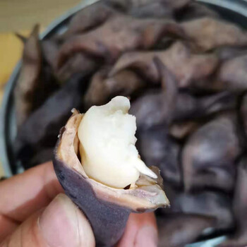 洪湖老菱角新鲜老菱角特大湖北特产现摘青菱角莲果带壳1斤3斤5斤1500g