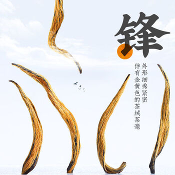 匠界茶叶金骏眉红茶浓香蜜香黄芽罐装节日礼盒特级蜜茶500g礼盒送礼