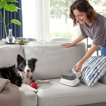 摩飞电器(Morphyrichards)除菌消臭机除螨仪双杯家用手持吸尘除螨机大吸力床上拍打去螨虫机热风祛湿x紫外线杀菌机MR3101 摩飞电器(Morphyrichards)除菌消臭机除螨仪双杯家用手持吸尘除螨机大吸力床上拍打去螨虫机热风祛湿x紫外线杀菌机MR3101