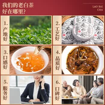 福东顺福鼎白茶 老寿眉白茶紧压小茶饼 果香茶叶自己喝送礼罐装500g