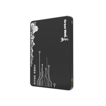 长城（Great Wall) 240GB SSD固态硬盘 SATA3.0接口 读速520MB/S台式机/笔记本通用 GW520系列