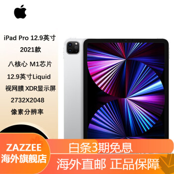 ipadpro128 - 京东