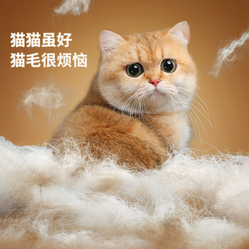 LYNN猫毛清理器吸附神器 宠物除毛刷子粘毛器床单沙发地毯吸猫毛神器