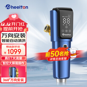 惠尔顿(WHEELTON)前置过滤器万向型智能自动清洗6T大流量反冲洗自来水中央净水器 万向安装智能自动清洗P0063PLUS