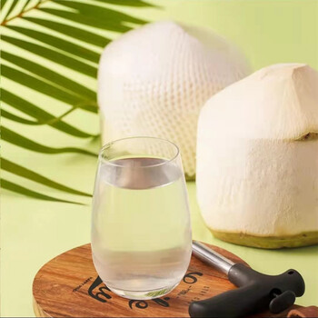 海蓝厨房椰子水1000ml瓶装生鲜冷冻发货无任何添加椰子原浆 海南椰子