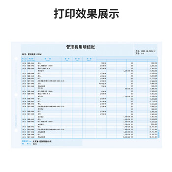 用友凭证纸A4总分类账(明细账) 70g经典 297*210mm 1000份/箱财务软件T3/T6/U8适用账本账簿凭证打印纸KZJ101