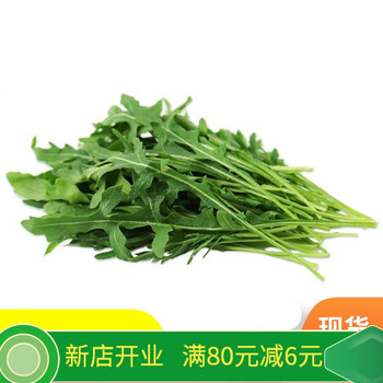 新鲜芝麻叶火箭菜现摘500g西餐即食蔬菜沙拉可生吃凉拌 2500g