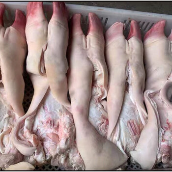 蜜鲜湾 新鲜去骨牛蹄  带爪头 带牛蹄筋牛蹄子牛皮 10斤