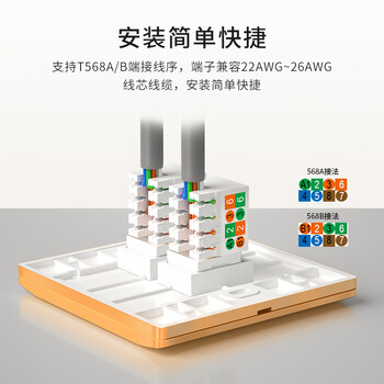 博扬 双口信息面板+2个超五类网络模块 阻燃信息模块插座面板86型套装（金色）BY-8602-D5