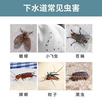 锐本下水道杀虫剂1000ml*1瓶管道除虫剂氯氰菊酯灭蚊蛾蚋小飞虫神器