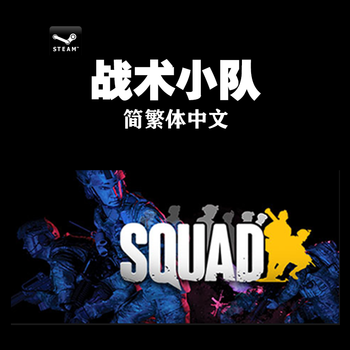 pc正版steamsquad战术小队行动小组丝瓜豪华版英文