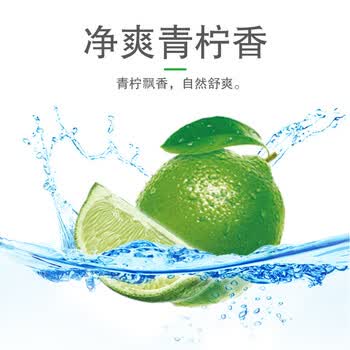 雕牌(HWM)青柠飘香透明洗衣皂202g*2块深层去渍(新老包装随机发货)