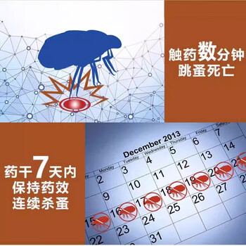 巴斯夫蟑螂药家用喷剂灭蟑螂喷雾呋虫胺跳蚤药除跳蚤猫狗窝臭虫速克力5g 巴斯夫蟑螂药家用喷剂灭蟑螂喷雾呋虫胺跳蚤药除跳蚤猫狗窝臭虫速克力5g