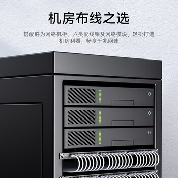胜为（shengwei）六类水晶头6类千兆网络网线接头 RJ45工程级电脑网线连接器 Cat6水晶头镀金100个 CRJ6100E