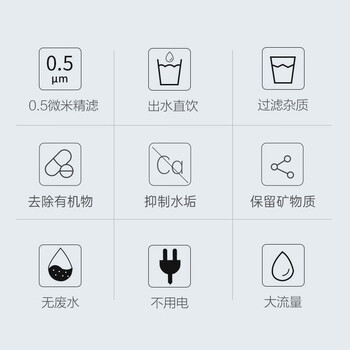 爱惠浦（Everpure）Insurice PF Single I20002净水器 无桶大流量-额定净水量1500L 矿物质水净水机