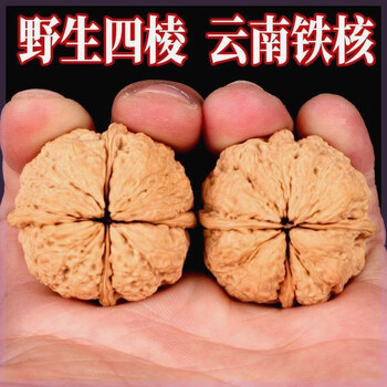 四棱核桃文玩价格报价行情- 京东