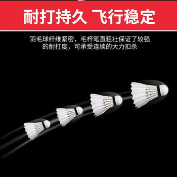 红双喜 耐打娱乐训练比赛用球羽毛球稳定耐打 03羽毛球（3只装*2桶）