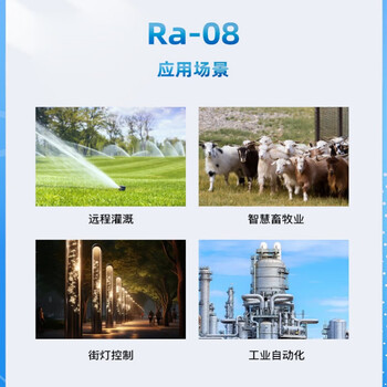 共研（Ra-08） LoRaWAN射频模块 ASR6601芯片自带MCU 外接天线单位：个