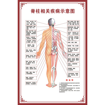 恆銘達消化腸道系統結構人體生殖器官解剖圖(下單後定製商品不支持