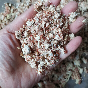 食上猴 农家自种干玉米芯玉米棒幼儿园手饰宠物磨牙饲料垫窝培育蘑菇