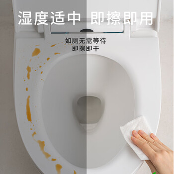 三仕达马桶杀菌湿巾50片*10包整箱99.9%杀菌便圈卫生洁厕湿巾厕所湿纸巾