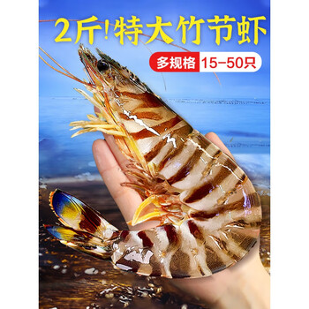 嗑嗑龙 九节虾超大斑节虾特大竹节虾大虾海鲜水产鲜活速冻鳌黑虎虾基
