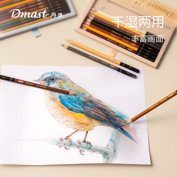 得力（deli）彩色炭笔遇境套装（12支/盒）专业绘画手绘素描彩绘软款画画丹途RK4-A女孩儿童礼物