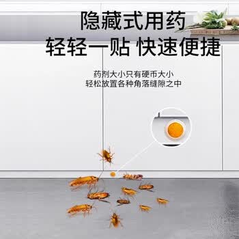 地依猫蟑螂药饵剂窝家用蟑螂方便贴蟑螂胶饵蟑螂贴屋端吡虫啉杀虫剂